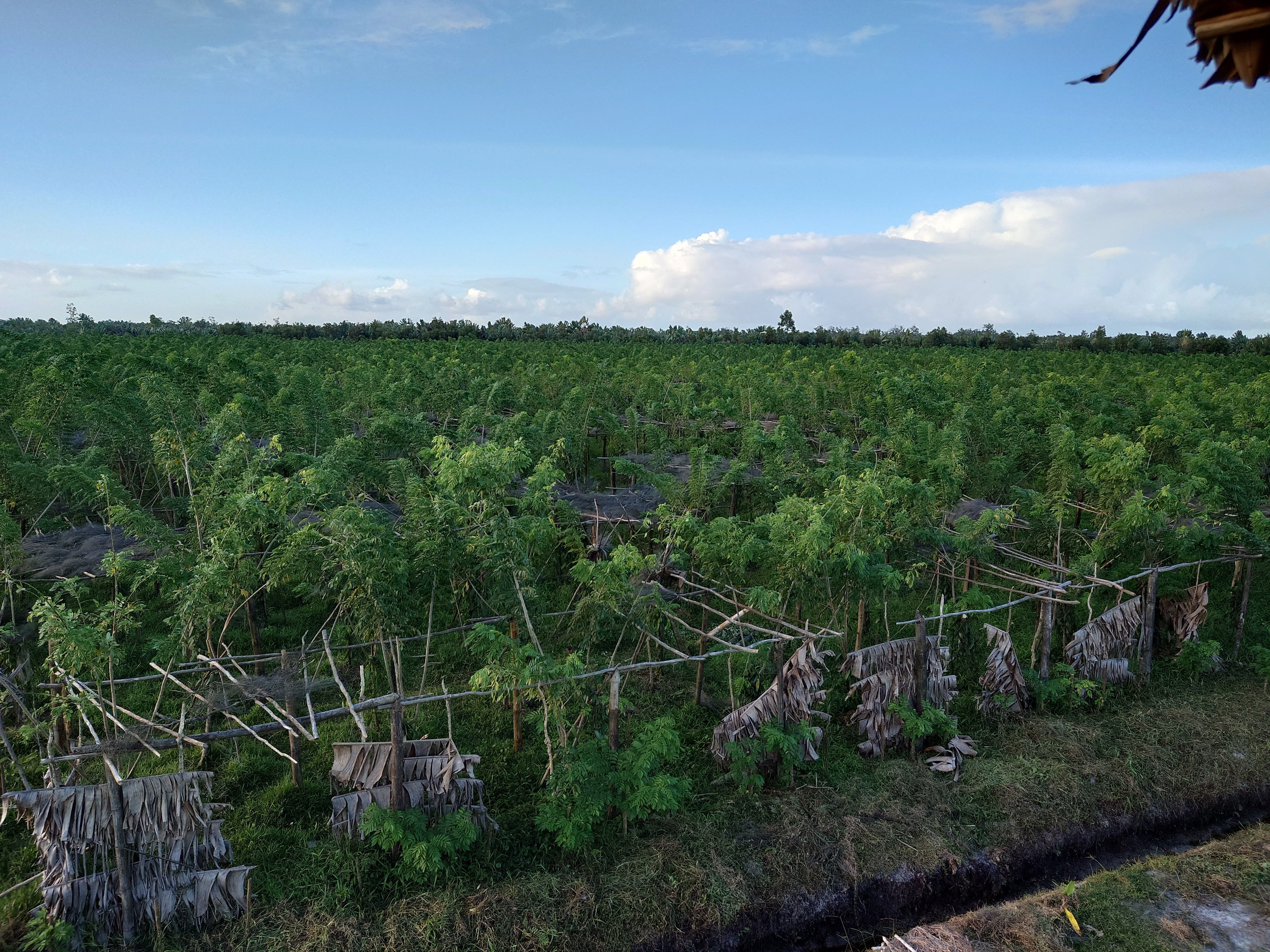 Ethische und nachhaltige Praktiken