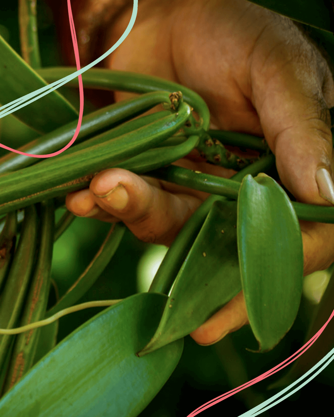 Ethische und nachhaltige Praktiken