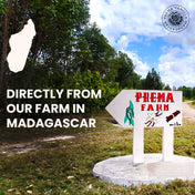 Reines gemahlenes Bourbon-Vanillepulver aus Madagaskar