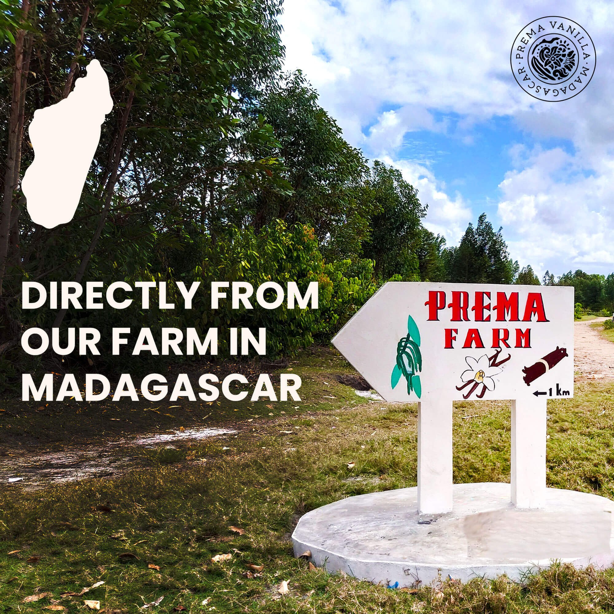 Reines gemahlenes Bourbon-Vanillepulver aus Madagaskar